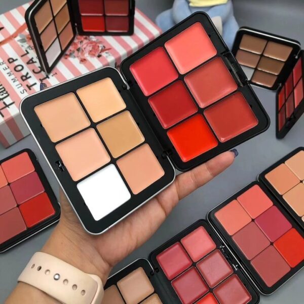CARLA SECRET 12 COLOR CREAM CONCEALER AND BLUSH PALETTE